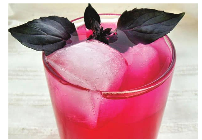 Basil Sherbet