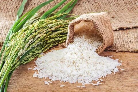 BASMATİ PİRİNÇ