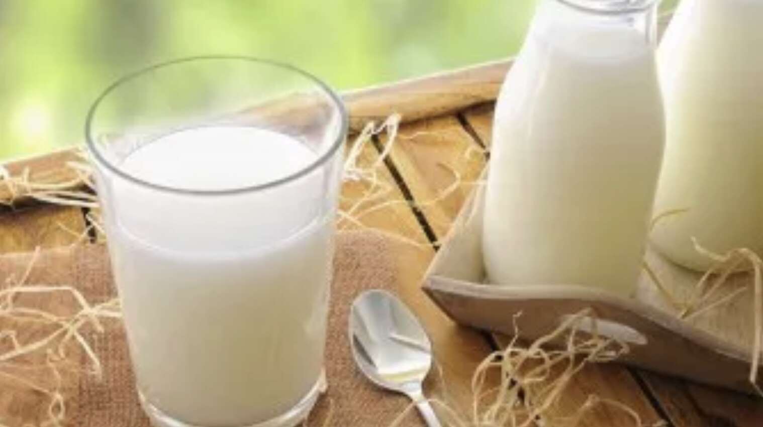 SÜT