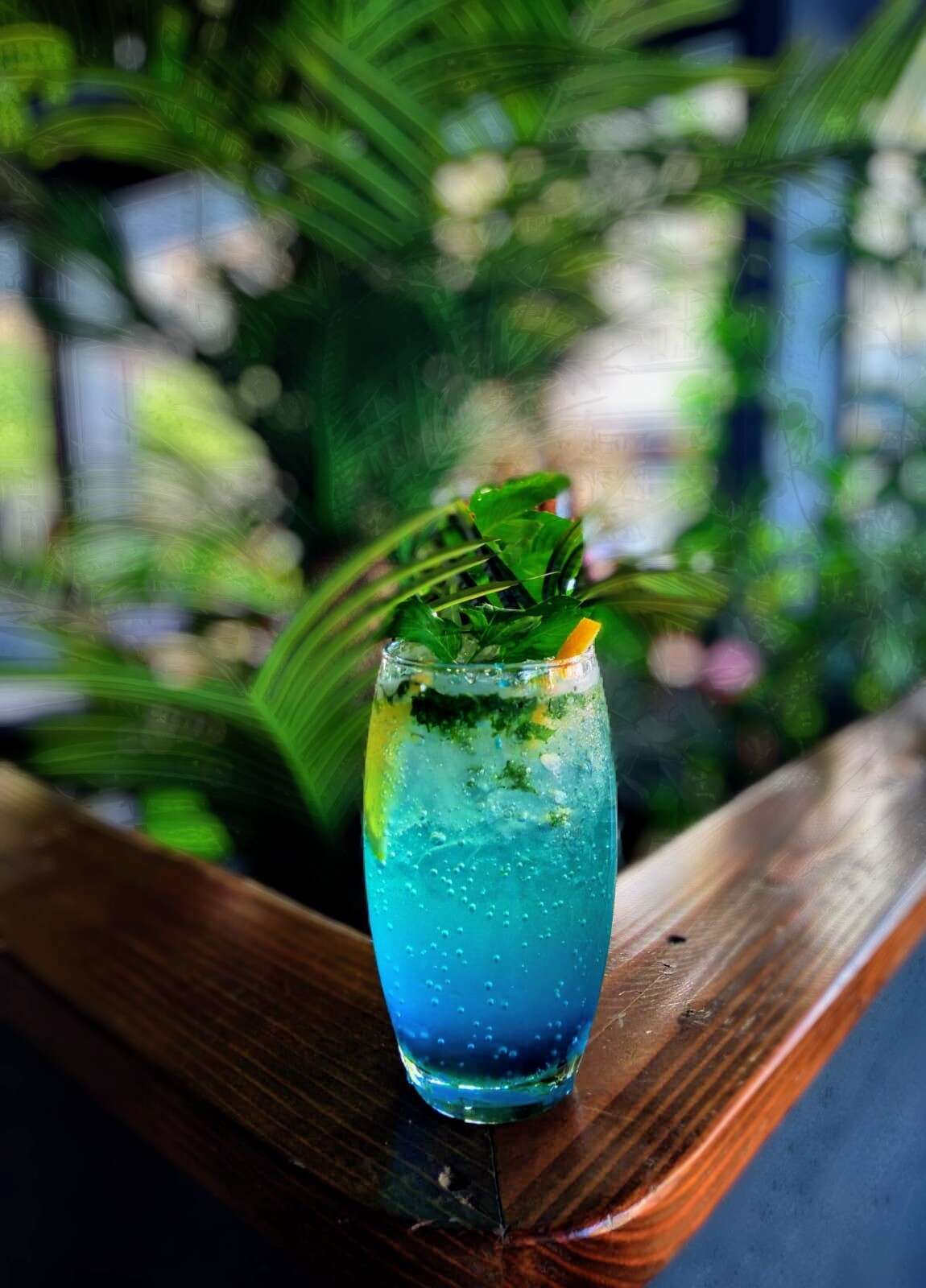 Mojito