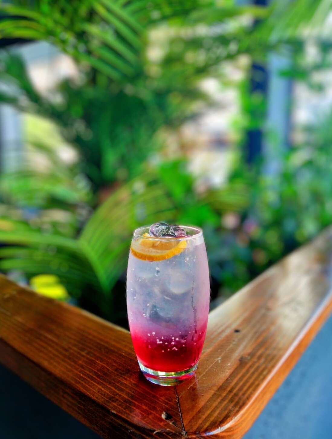 Berry Hibiscus