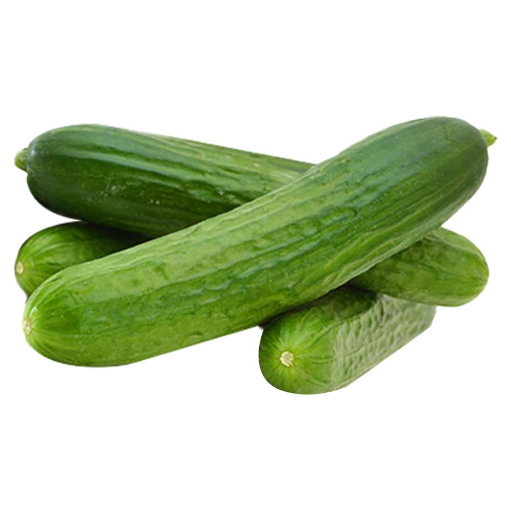 Salatalık 