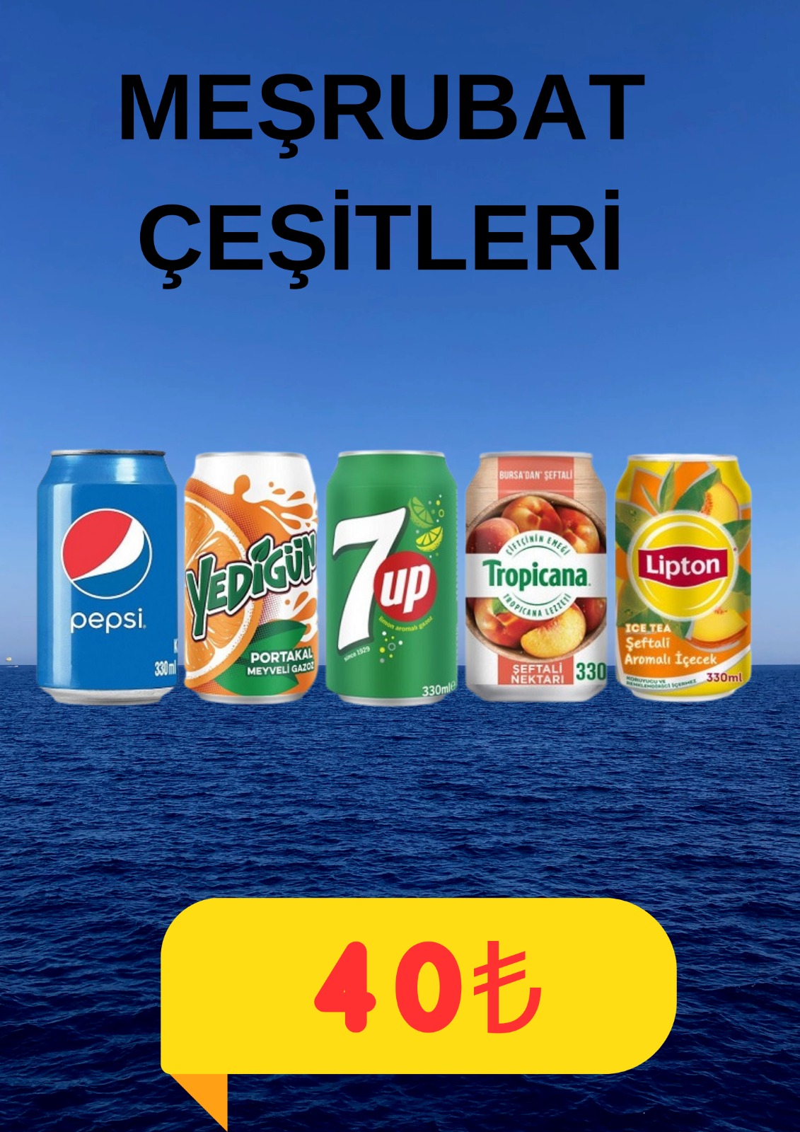 Meşrubatlar