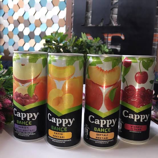 Cappy Meyve Suyu (kutu)