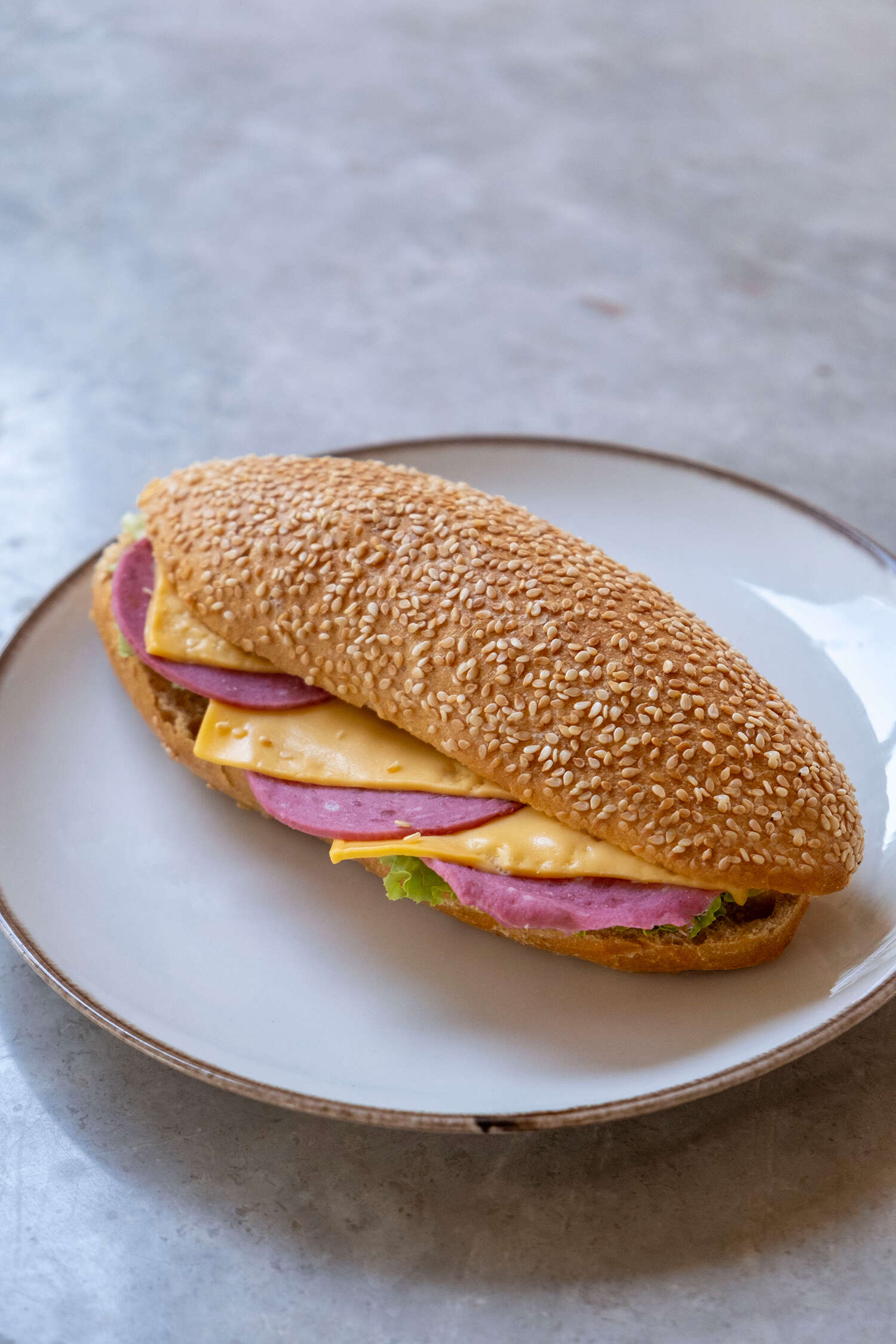 Cheddar Salamlı  Sandviç
