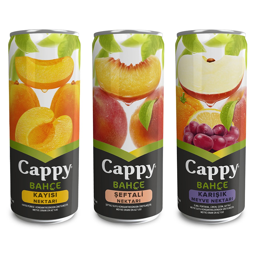 Cappy (Şeftali,Kayısı,Vişne,Karışık)