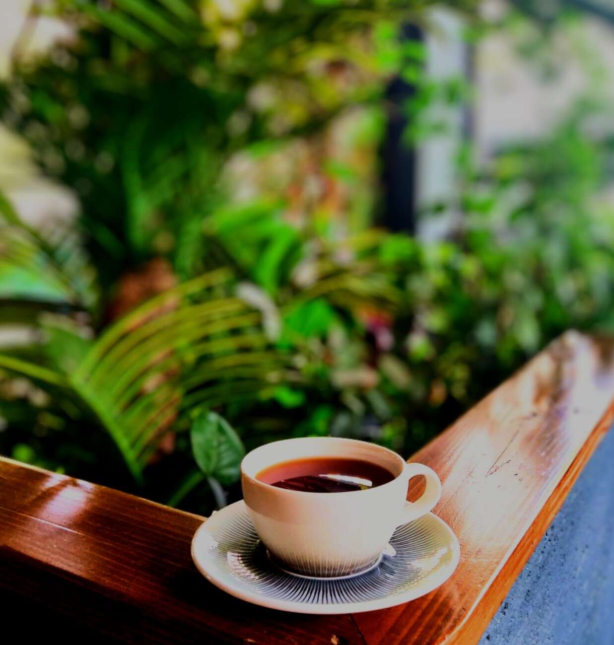 Cup of tea
