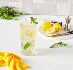 Motto Lime