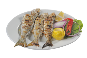 Sarıkanat (young bluefish)