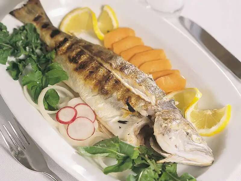 Bluefish