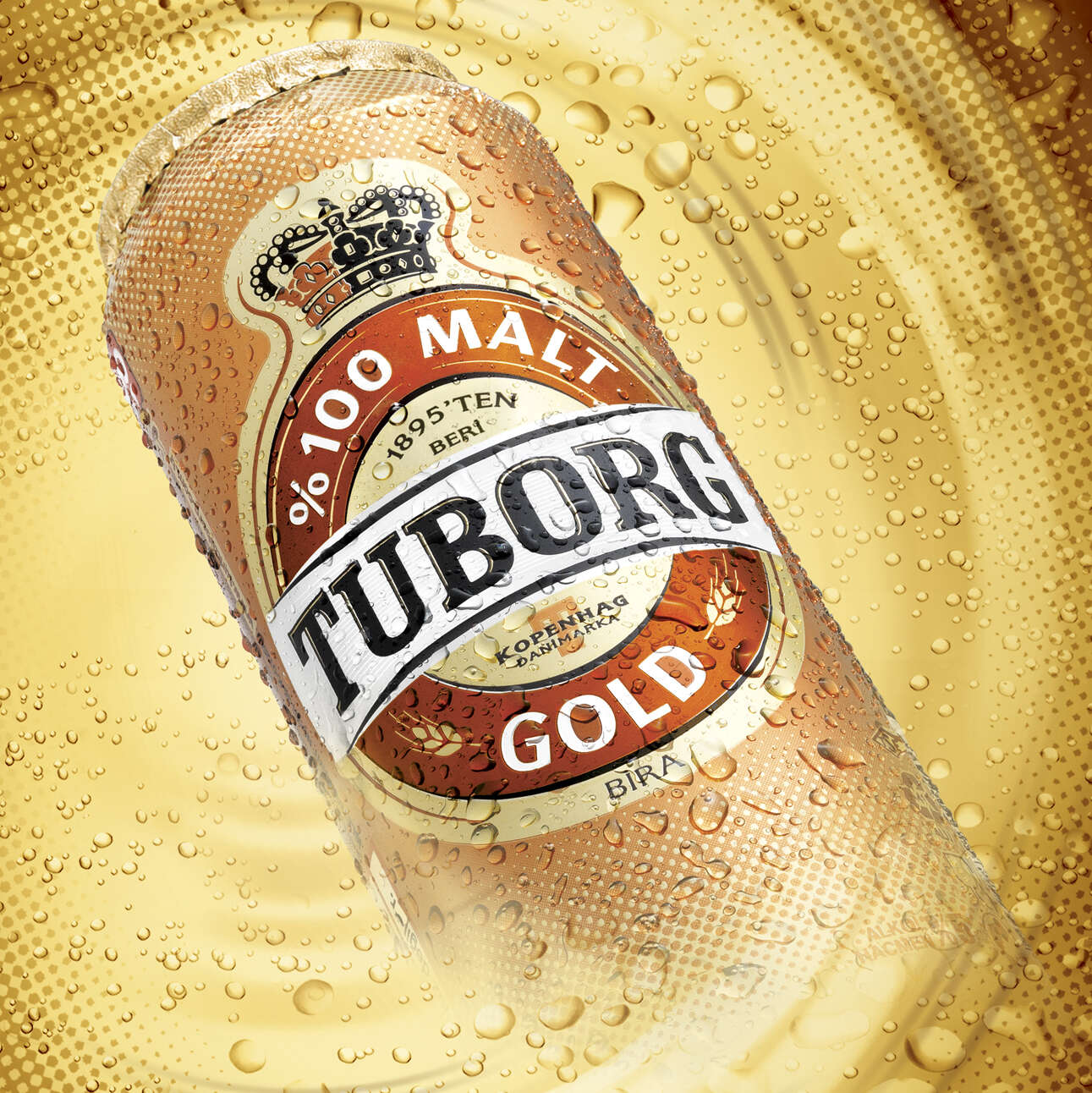 Tuborg Gold Kutu