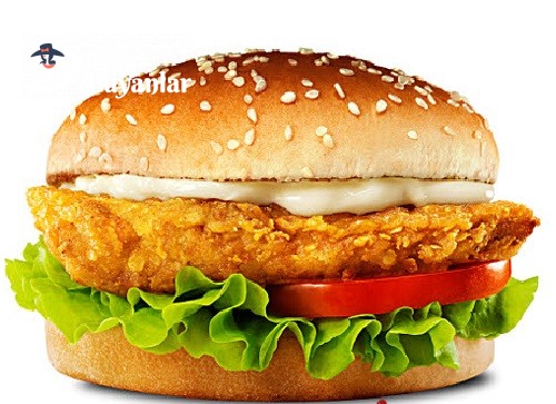 TAVUK HAMBURGER