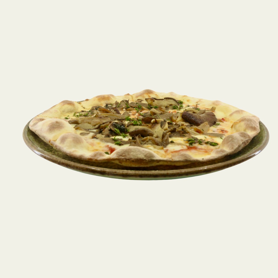Fungi Pizza 