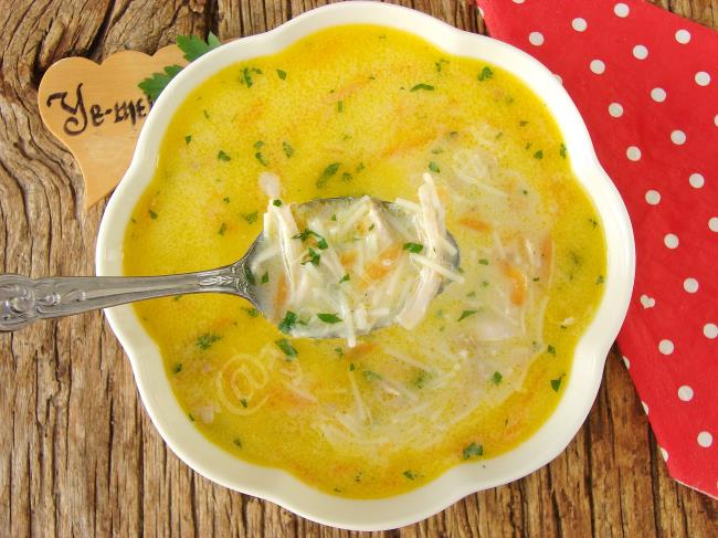 Tavuk Çorbası/Chicken Soup