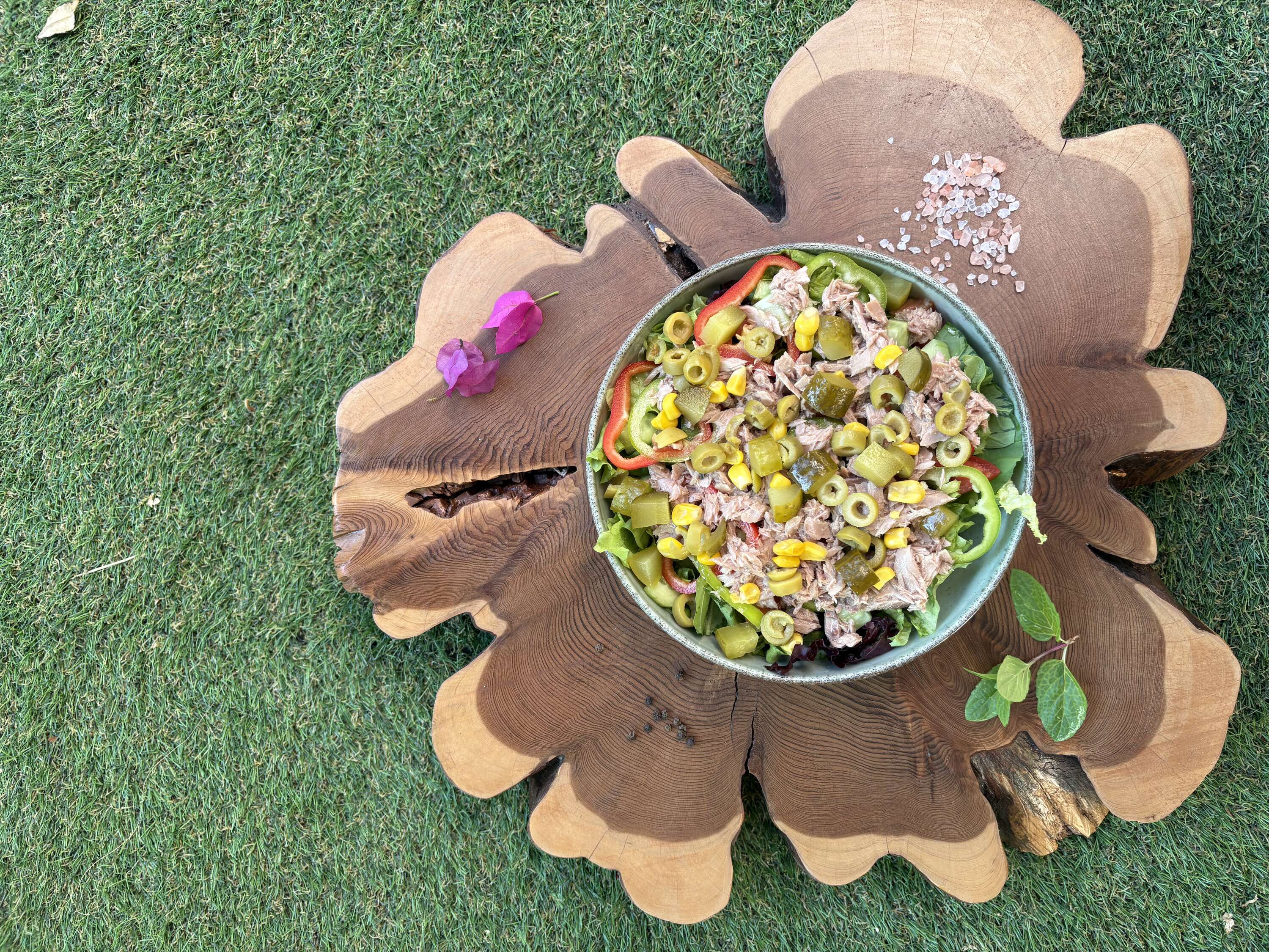 Ton Balıklı Salata