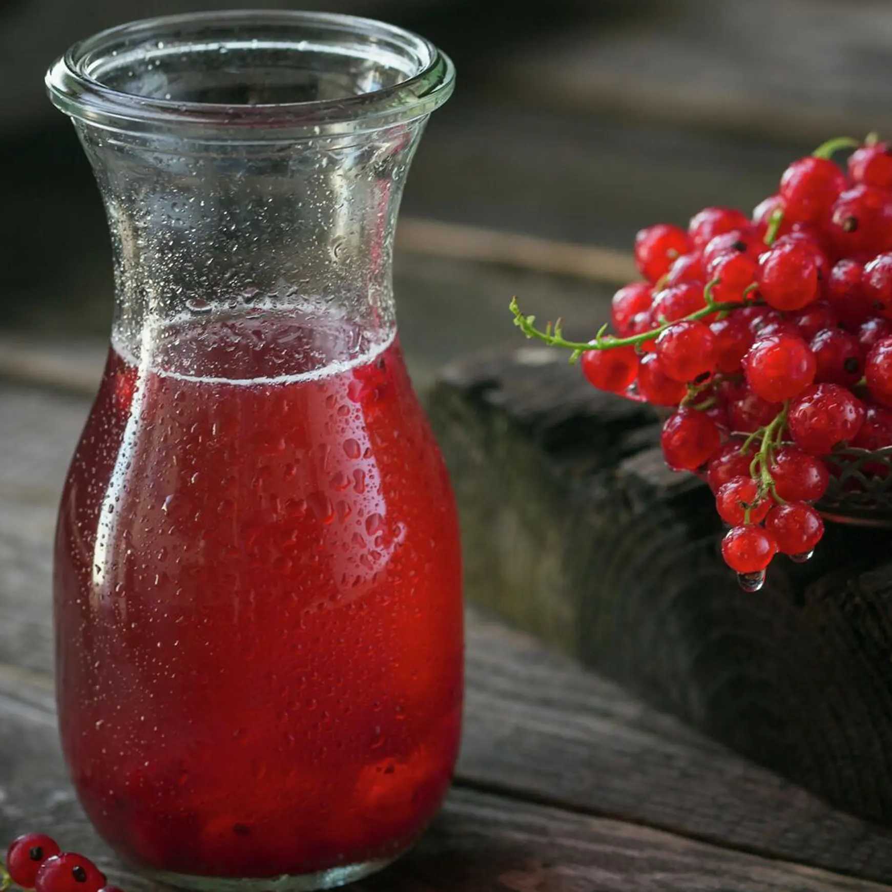 Kompot 