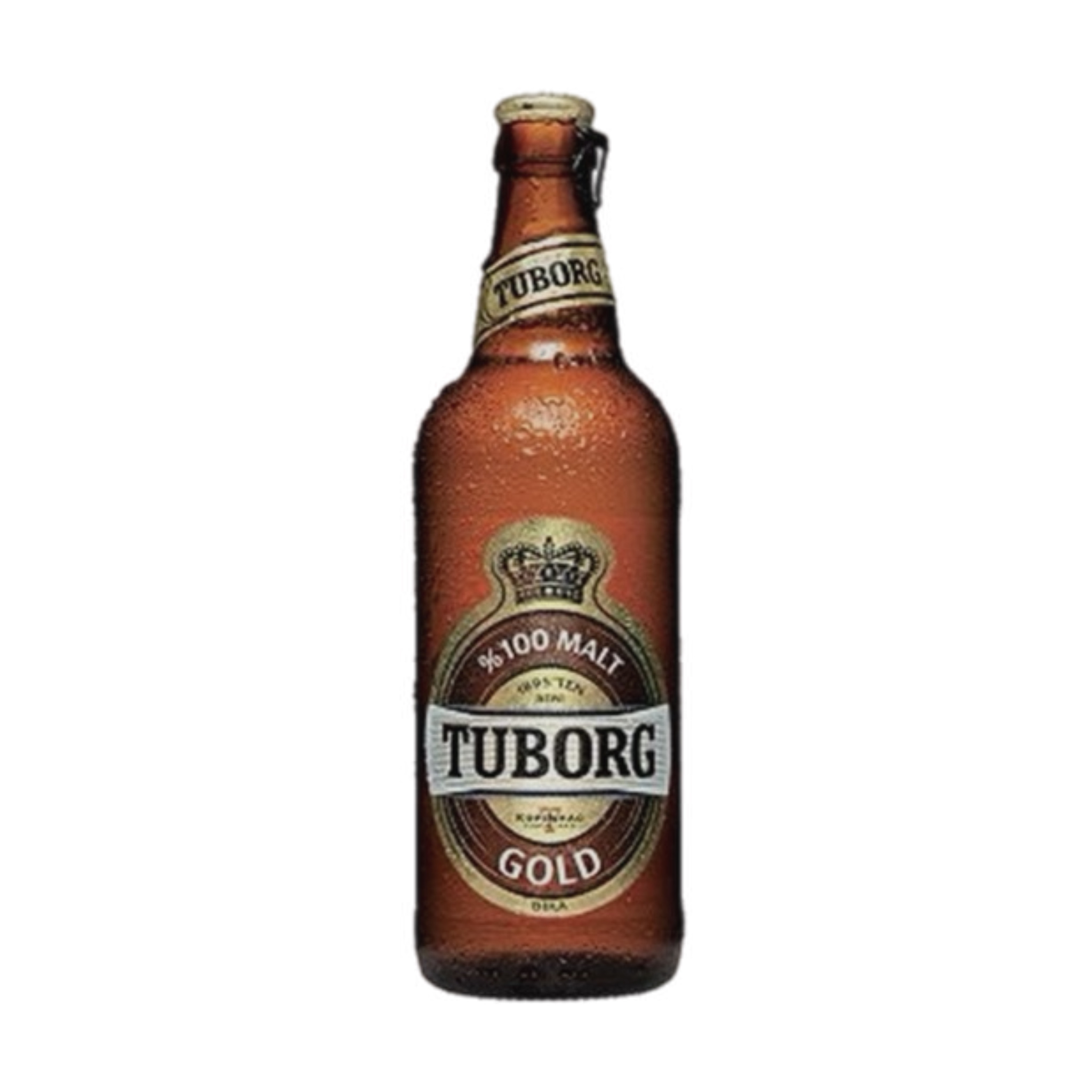 Tuborg Şişe 50cl