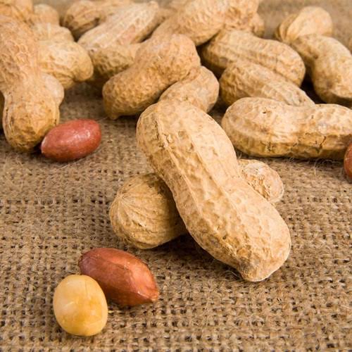 Peanuts