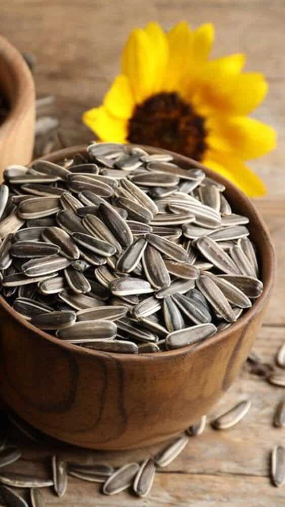 Çekirdek/Pumpkın Seed
