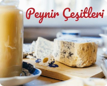 YÖRESEL PEYNİRLER 
