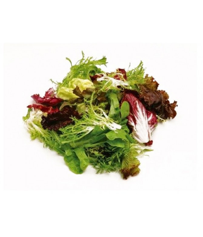AKDENİZ YEŞİLLİK SALATA