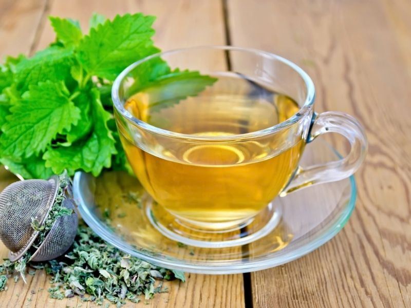 MELİSA ÇAYI / MELISSA TEA