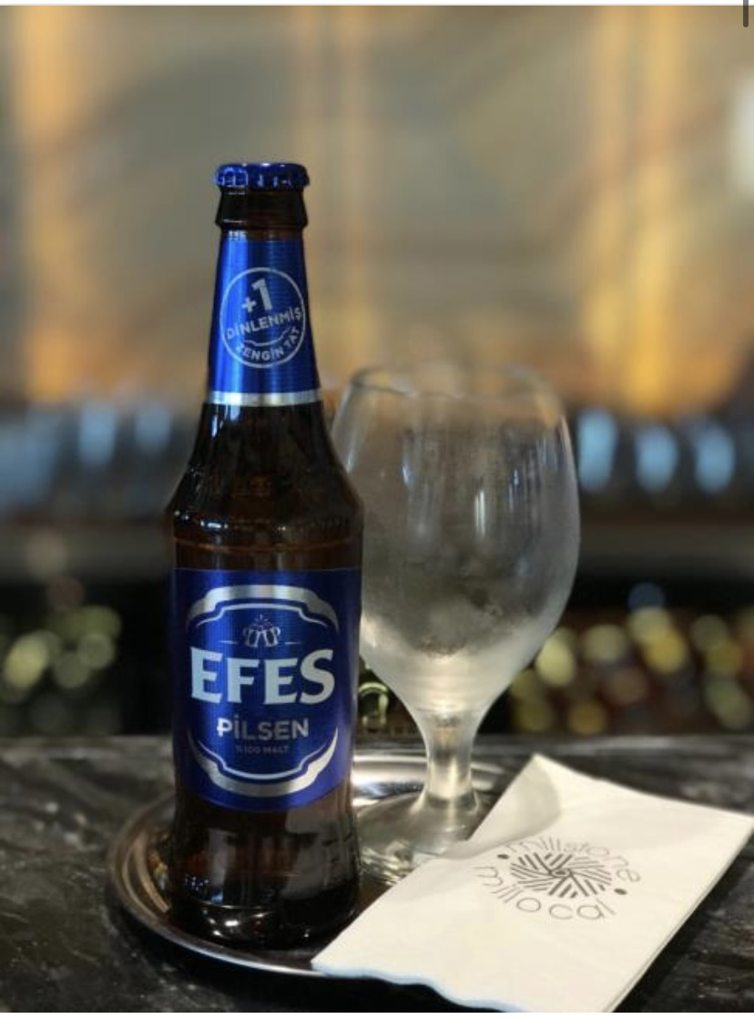 EFES PİSEN 33 CL