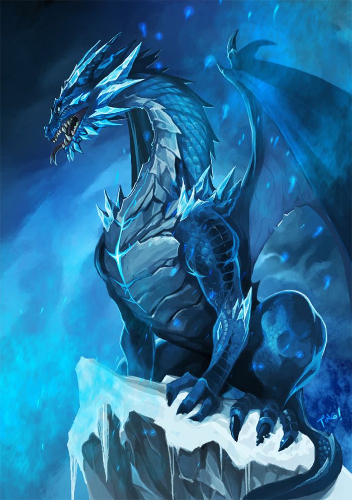 DRAGON SHOT 8'Lİ
