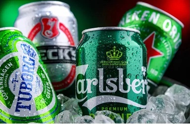 BİRA -  BEER