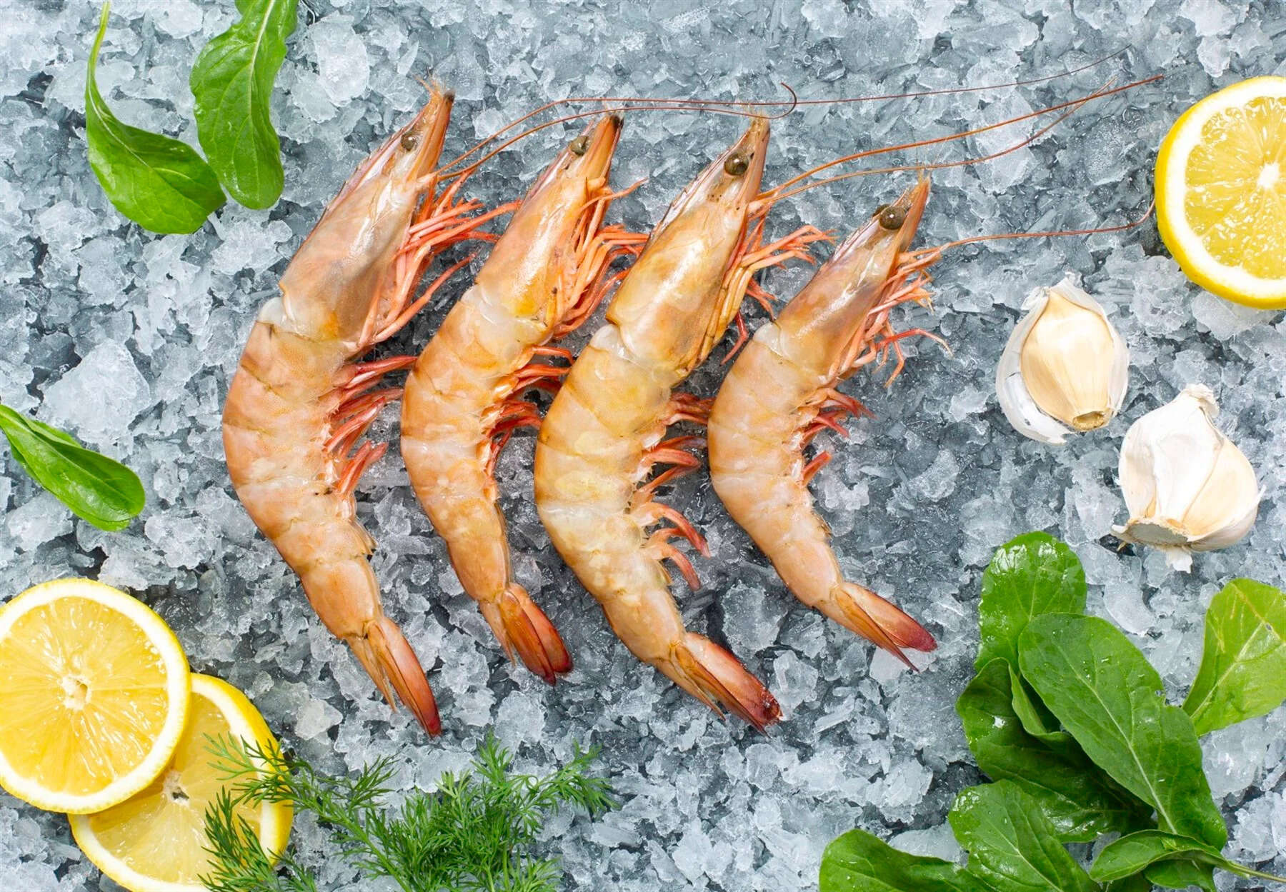 Jumbo Karides (Adet)