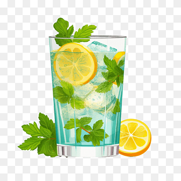 MEYVELİ SODA ÇEŞİTLERİ