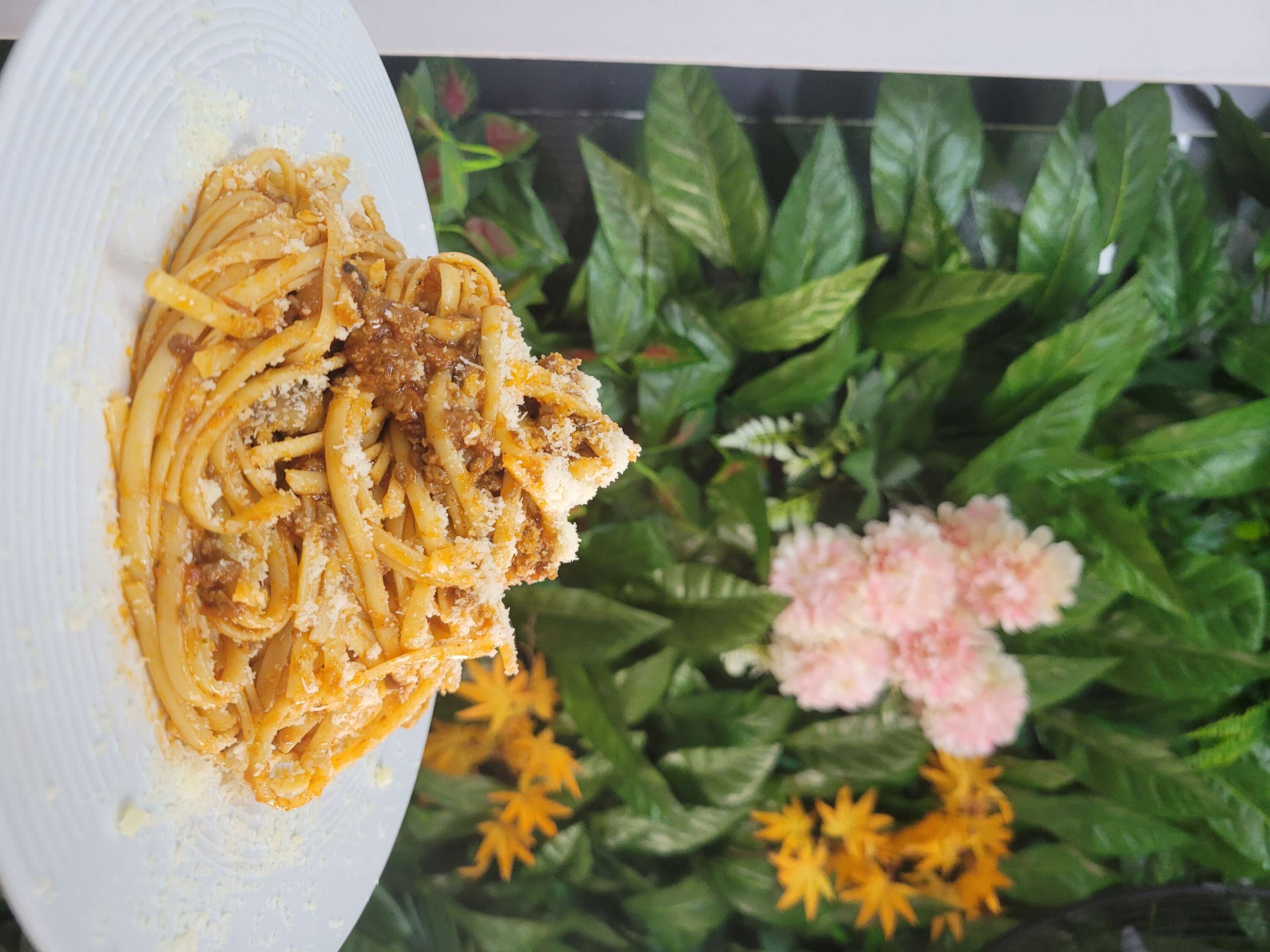 BOLONEZ 
