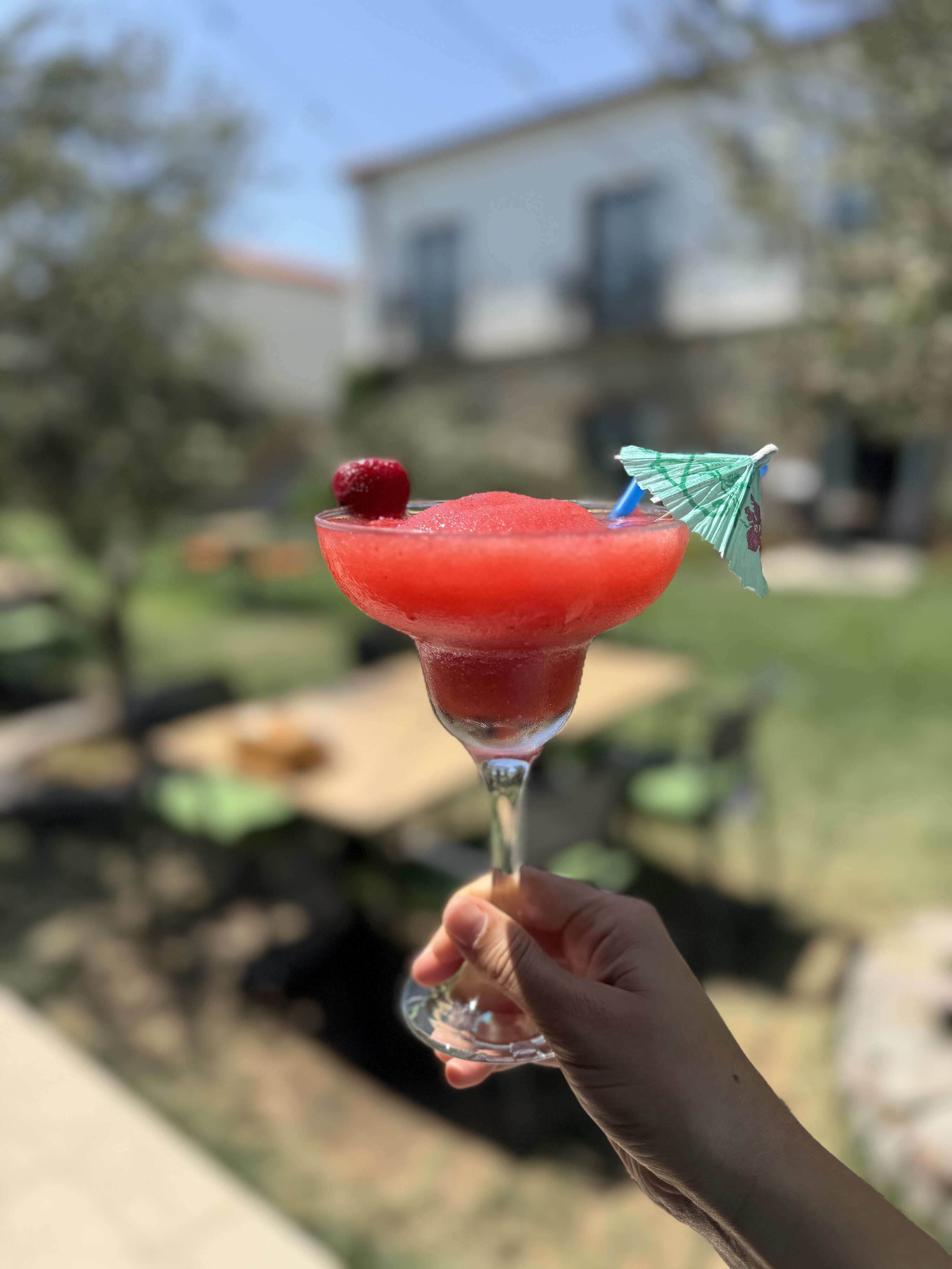 Daiquiri Frozen (Recommended)