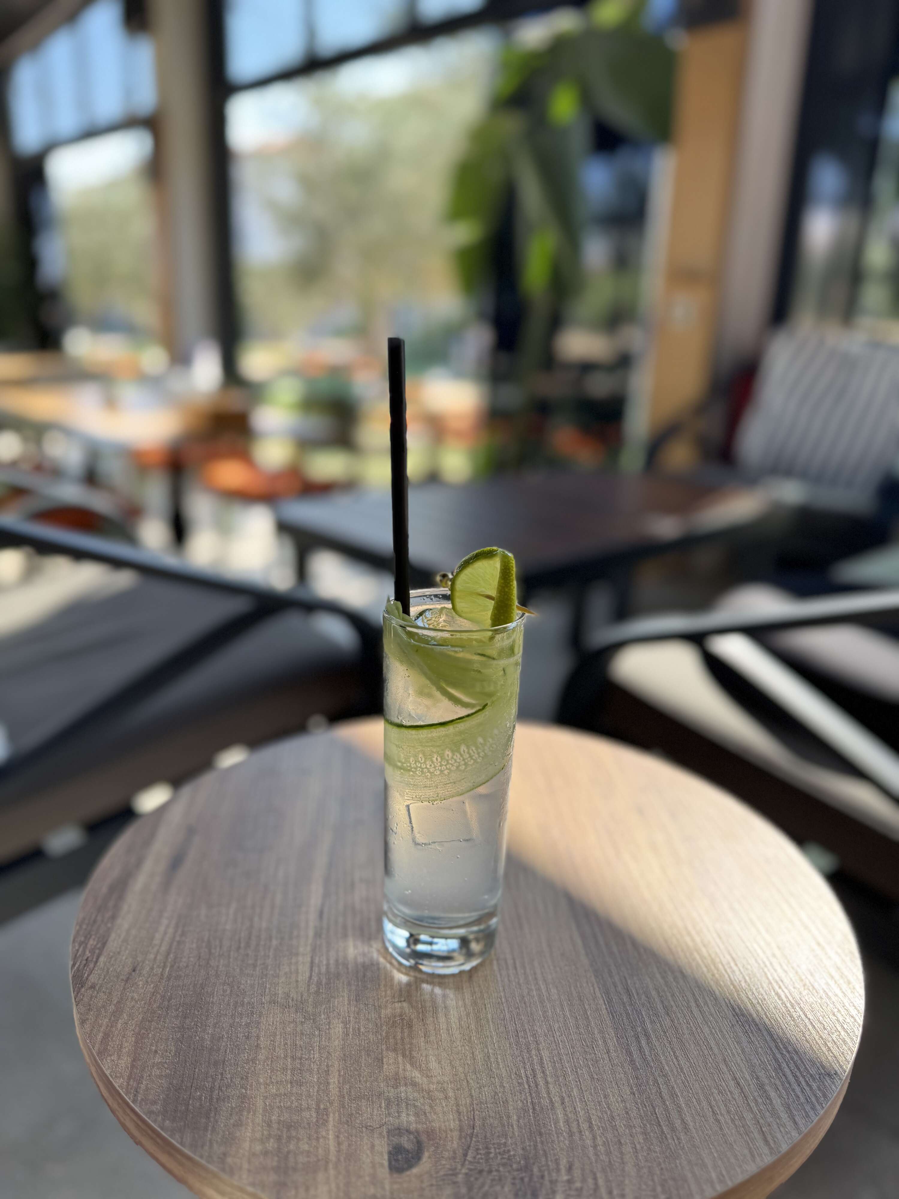 Gin Tonic