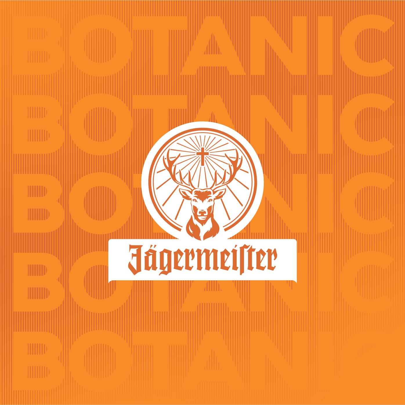 Jagermeister Orange 5cl