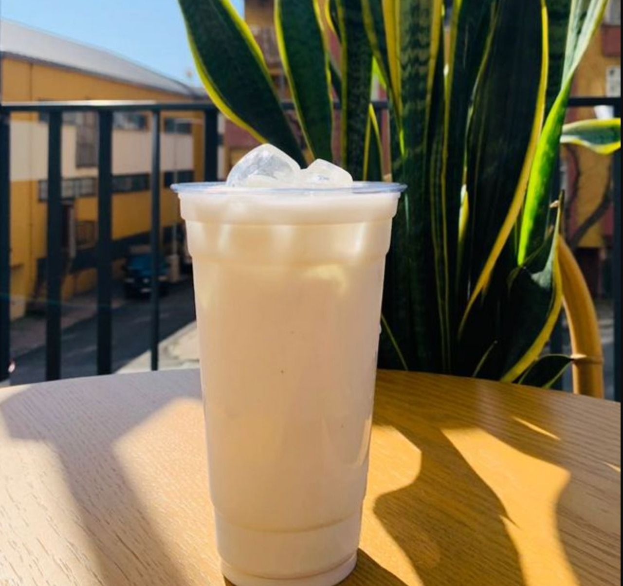 NEPTUN BUBBLE TEA