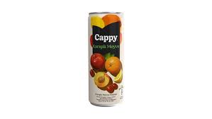 Cappy  Meyve Suyu kutu