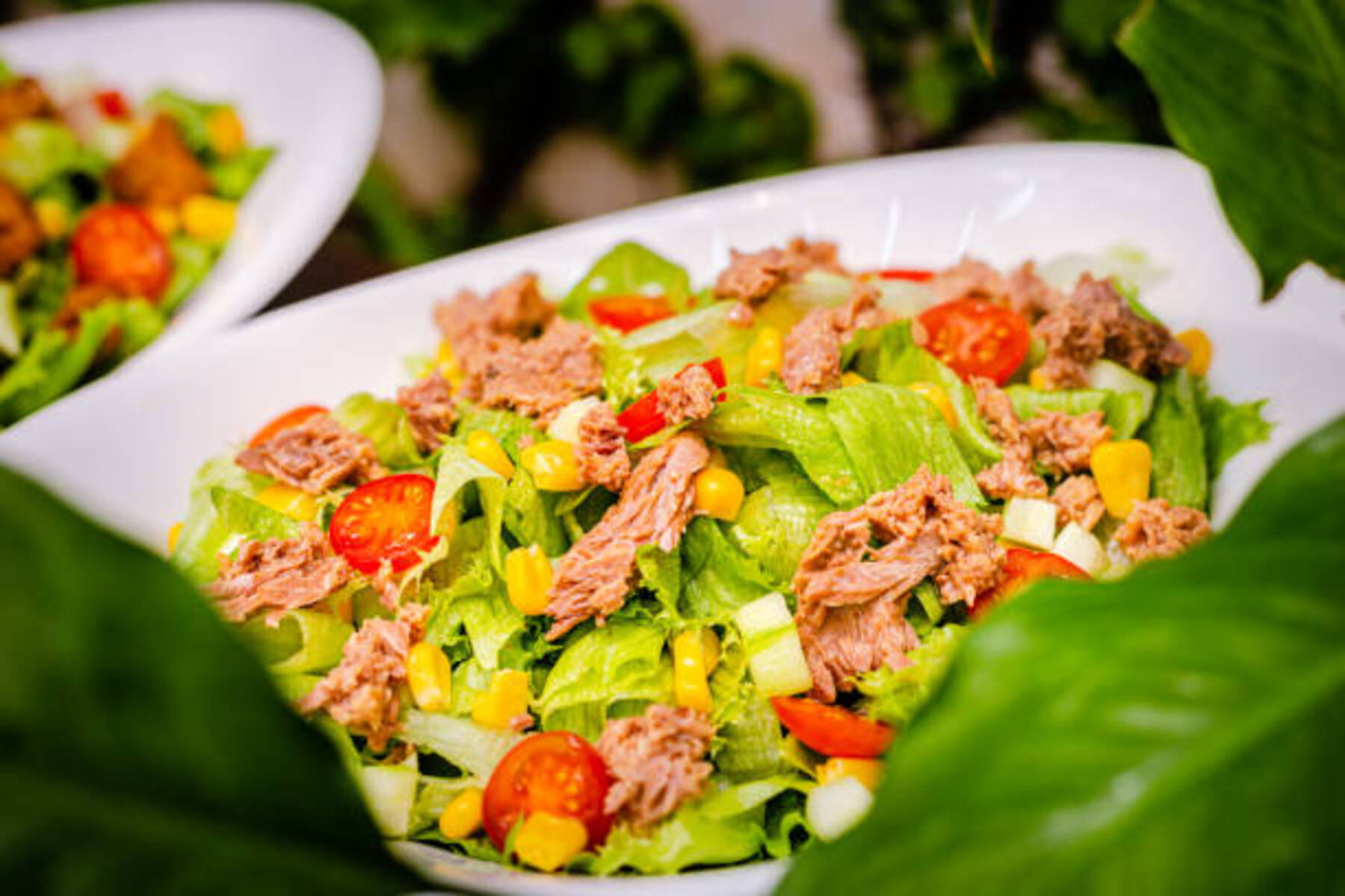 Ton Balıklı Salata