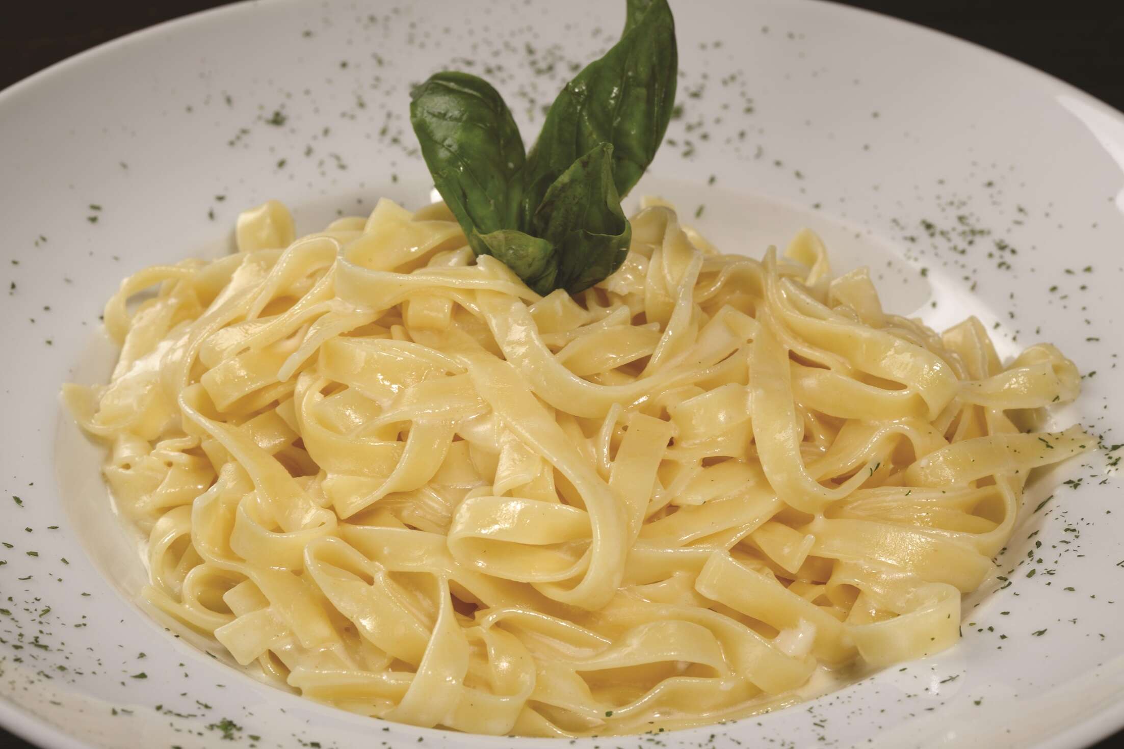 FETTUCCINE ALFREDO