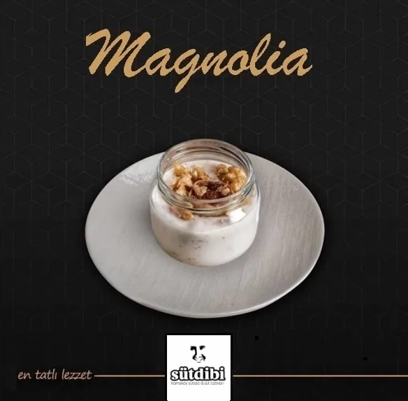 MAGNOLİA ÇEŞİTLERİ 