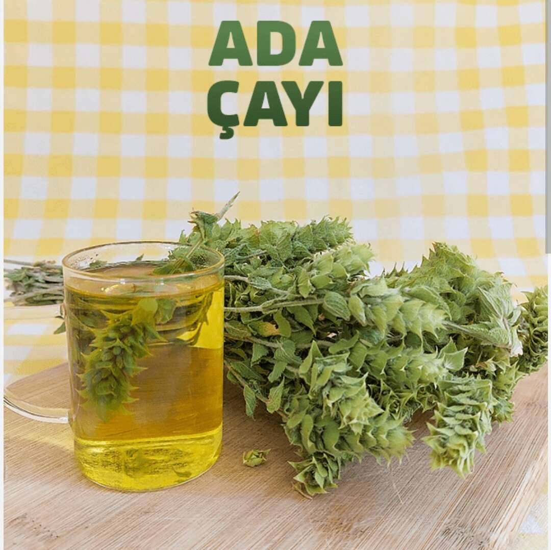 ADA ÇAYI 