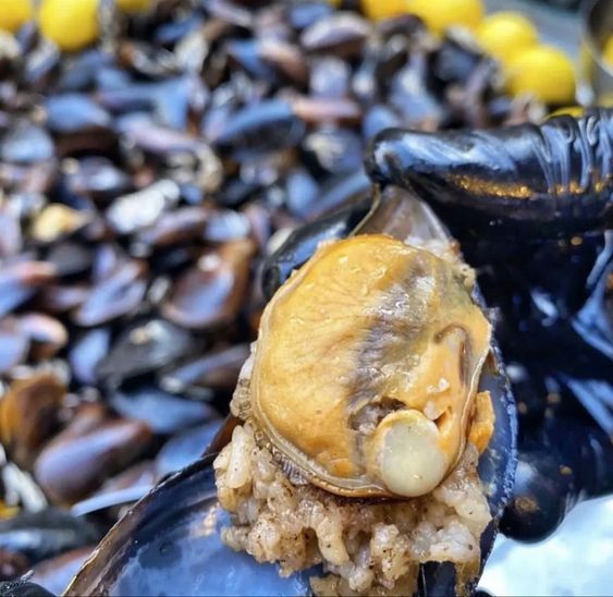 BOL BAHARATLI MİDYE DOLMA