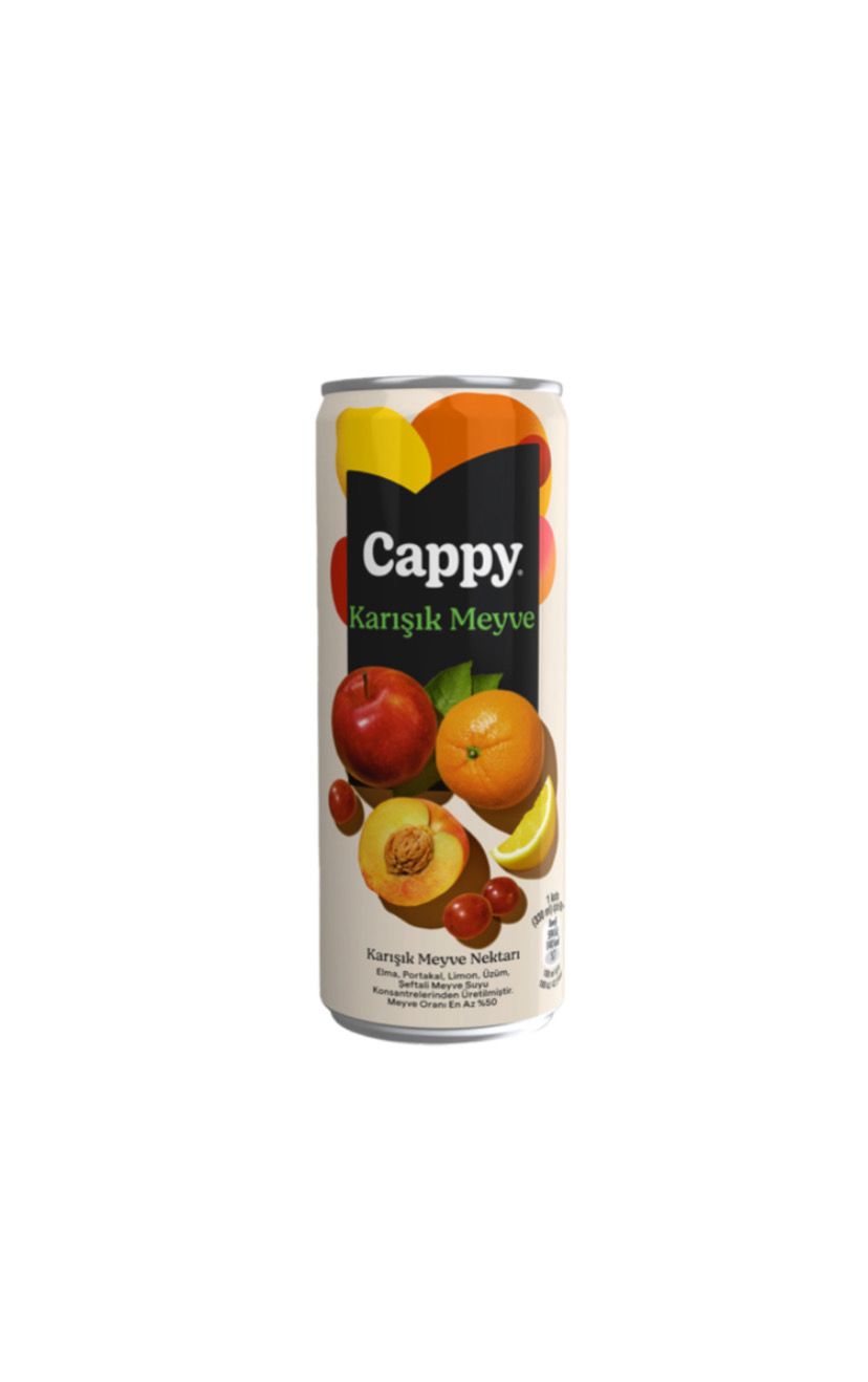 CAPPY KARIŞIK MEYVE SUYU