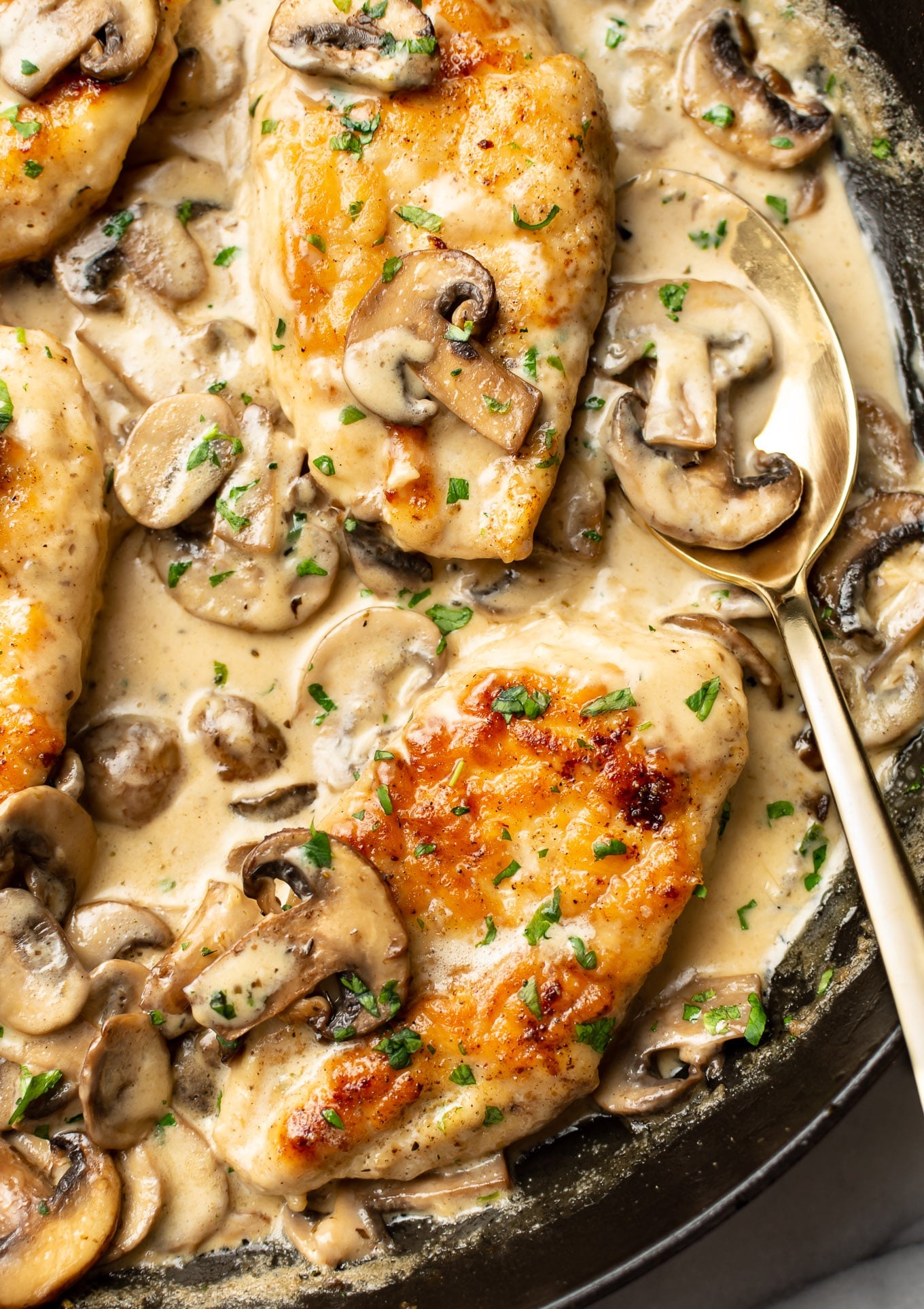 Chicken mushroom