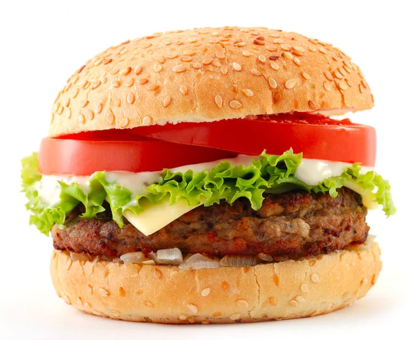  Dana Hamburger