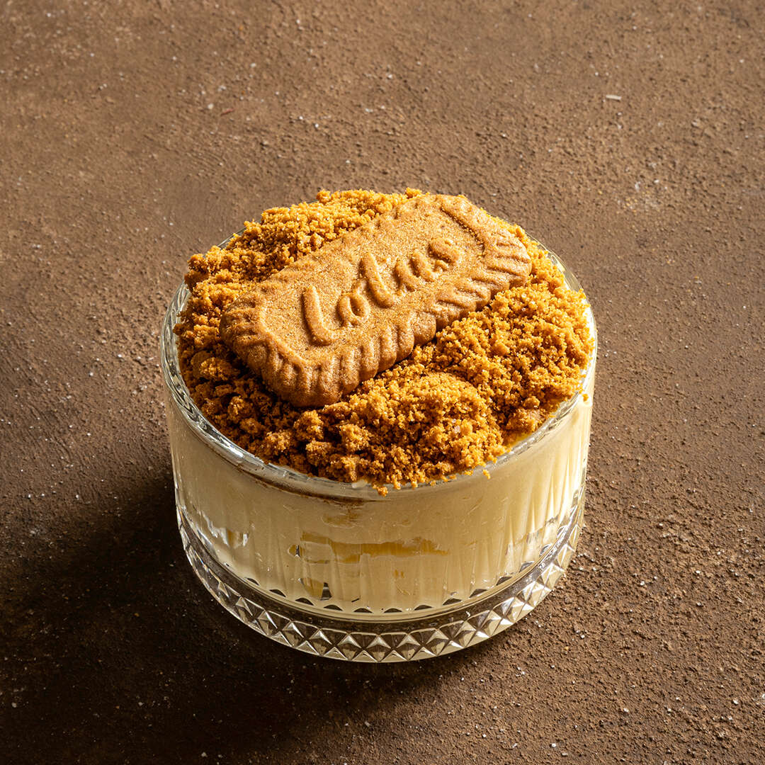 LOTUS BISCUIT MAGNOLIA