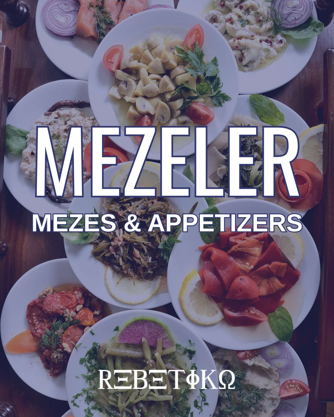 MEZELER  /  MEZES & APPETIZERS