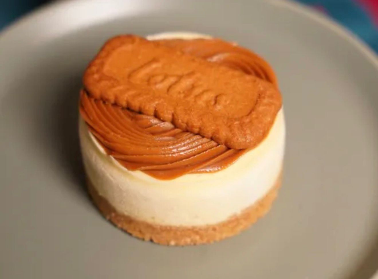 LOTUS CHESSECAKE MONO
