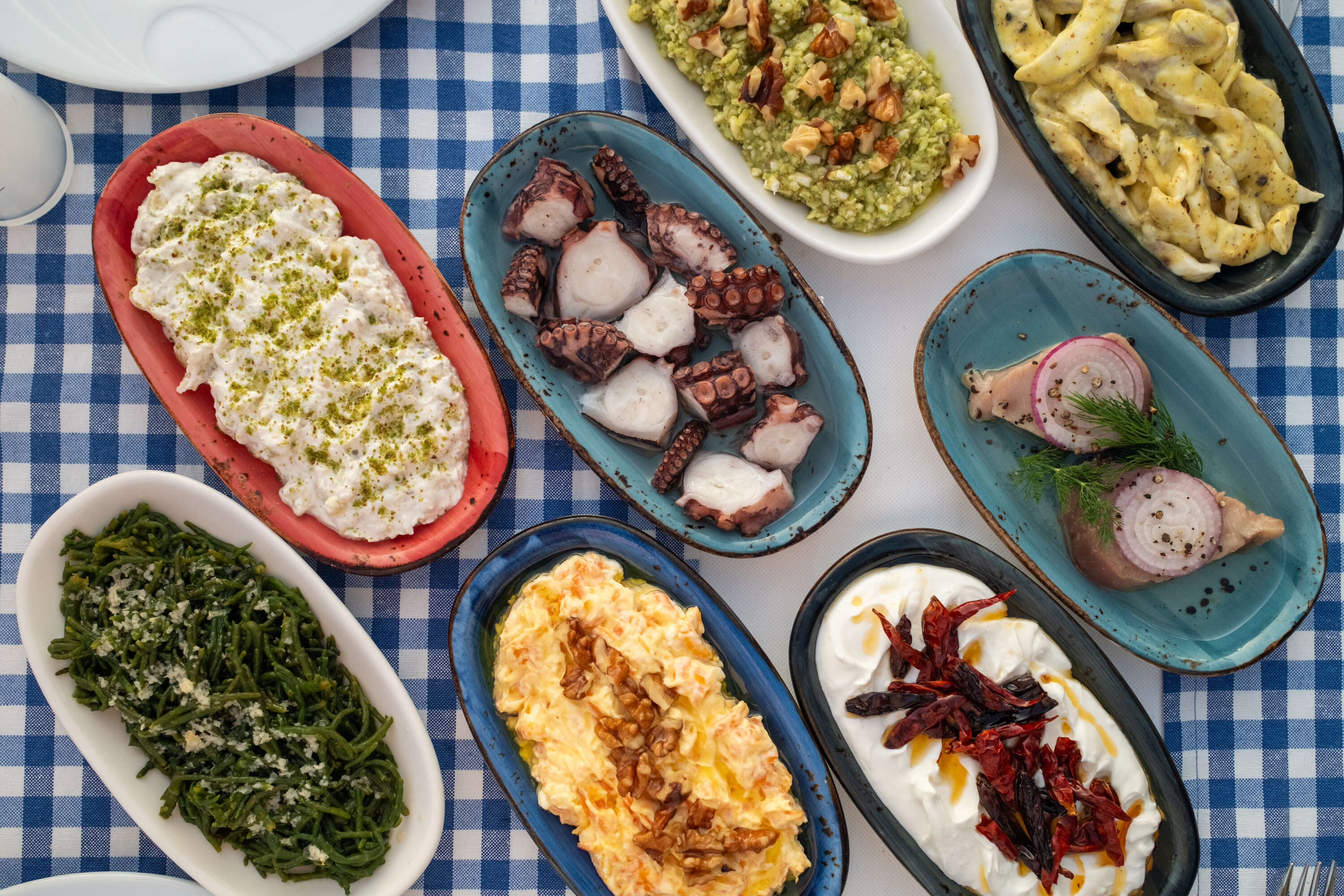 Başlangıçlar