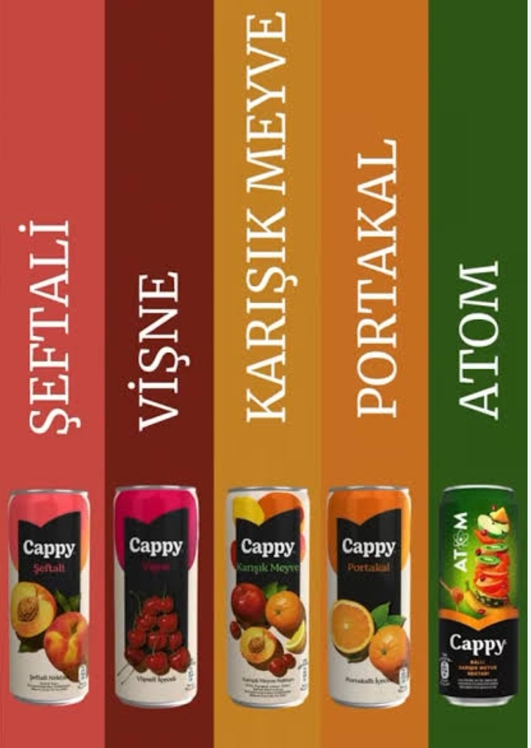 Meyve Suyu (Şeftali - Karışık)